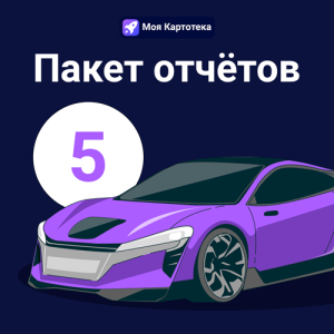 УслугаПакетОтчетов5